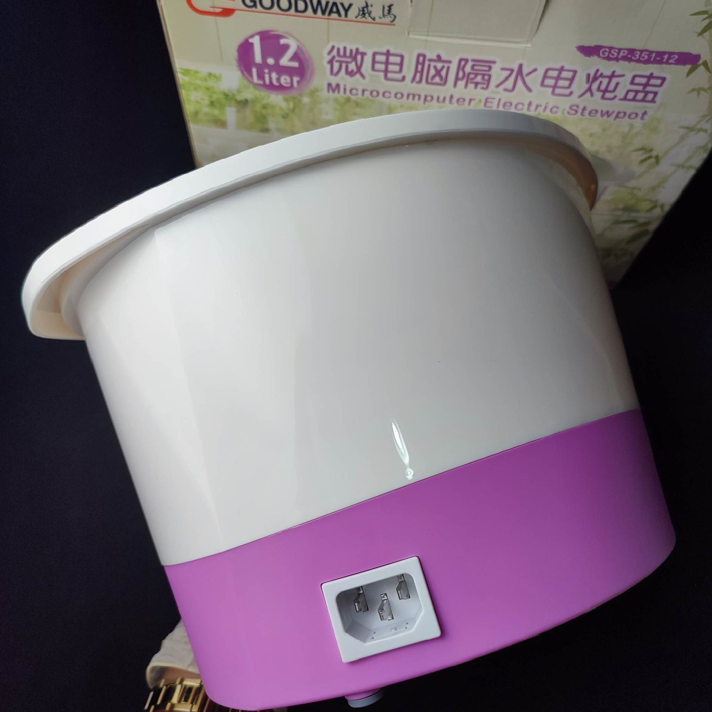 Goodway Microcomputer Electric Stewpot 1.2 Liters (GSP-351-12) - International Mall PUll-out