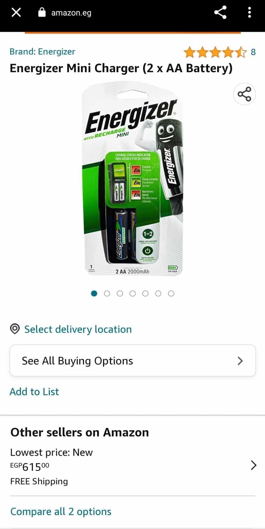 Energizer Recharge Mini (Double A)