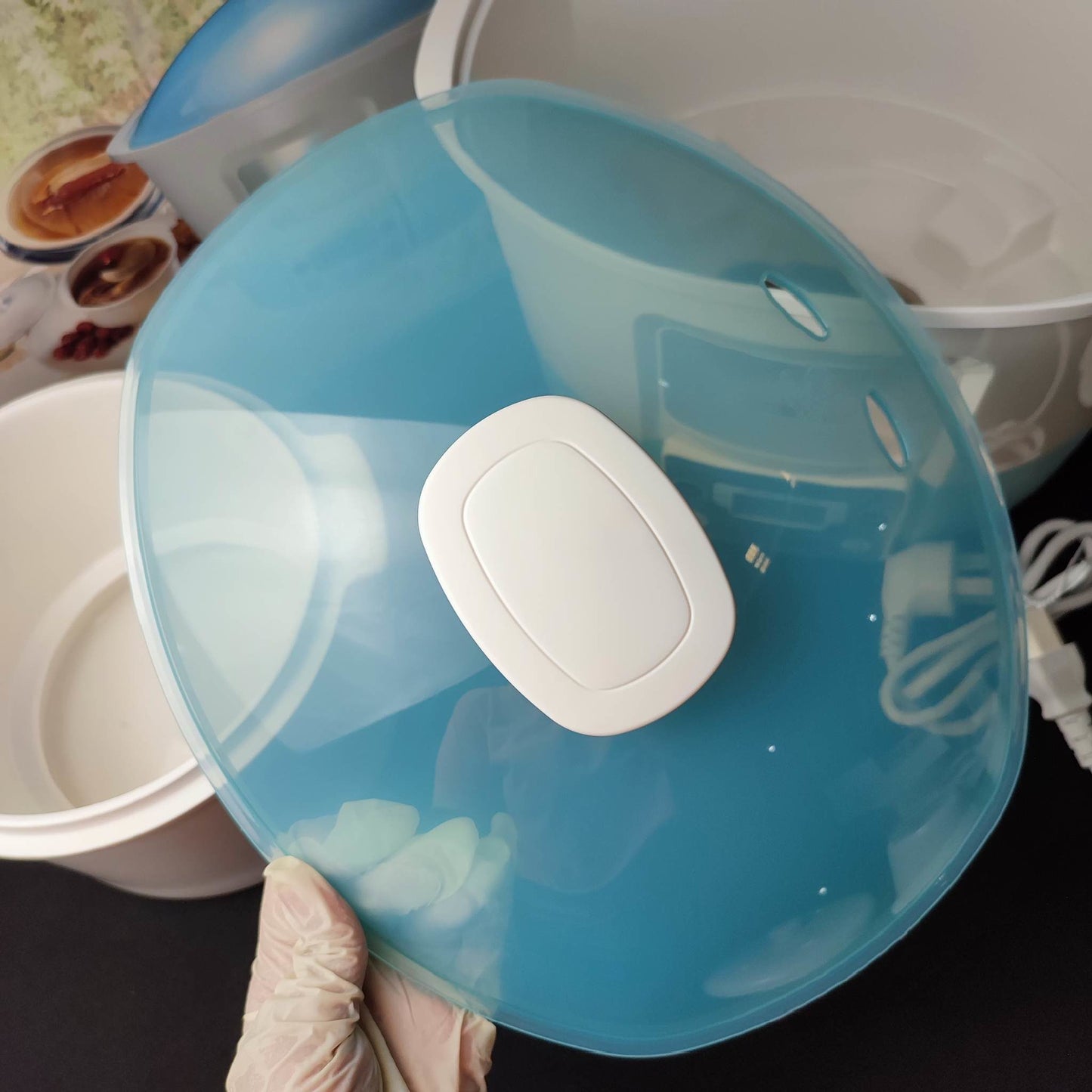 Goodway Microcomputer Electric Stewpot 3.2 Liters (GSP-353-32) - International Mall PUll-out