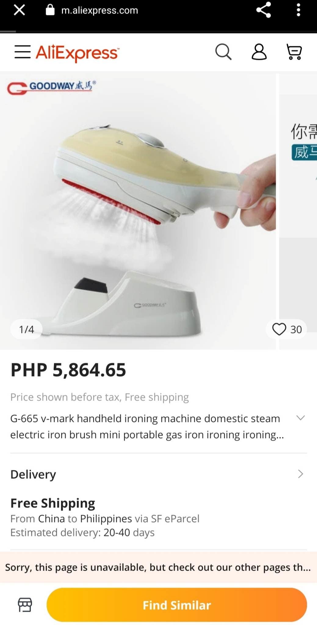 Goodway Steam Brush/Iron Combo White (G-665) - International Mall Pull-out