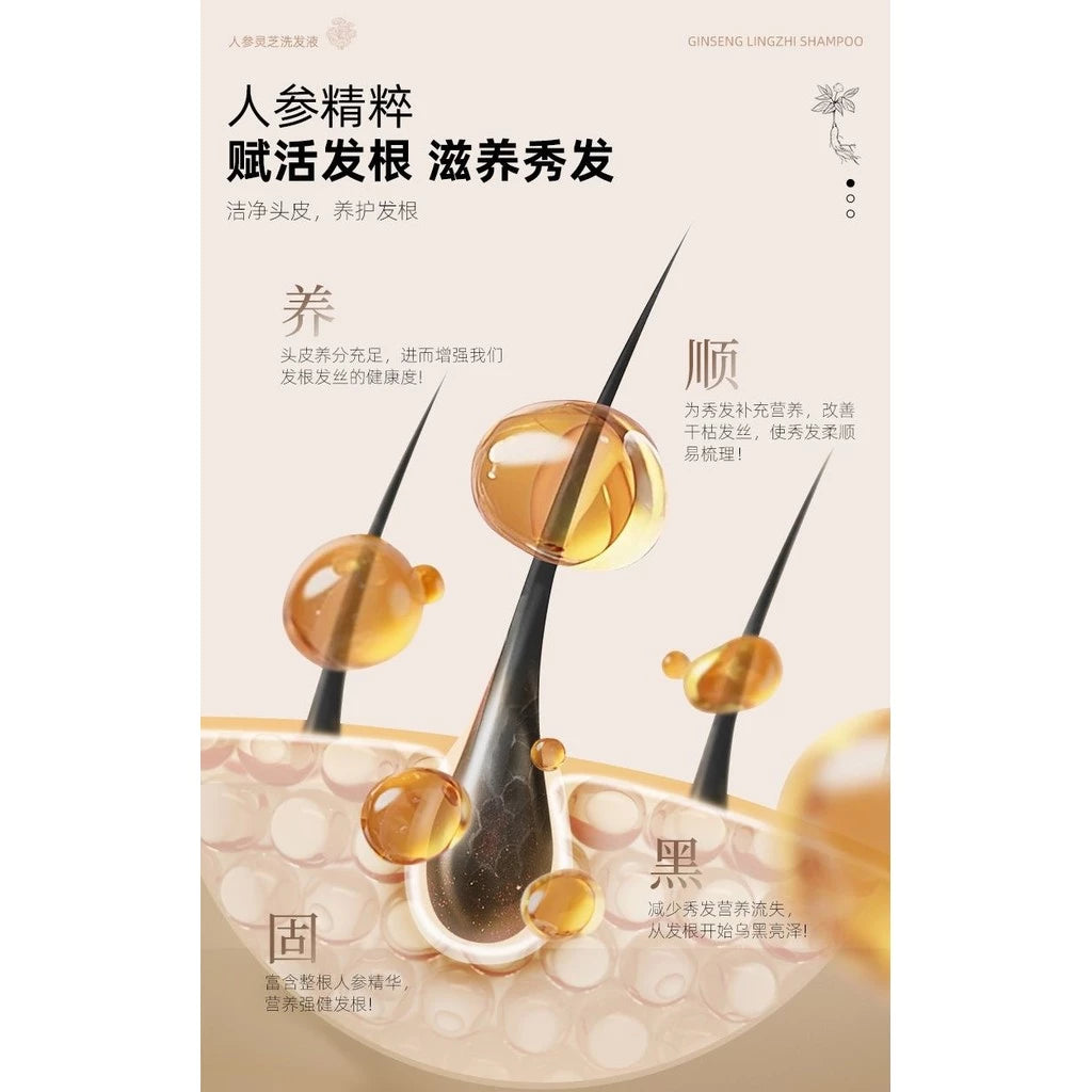 Ginseng Ganoderma Shampoo Follicle Cleansing 300ml
