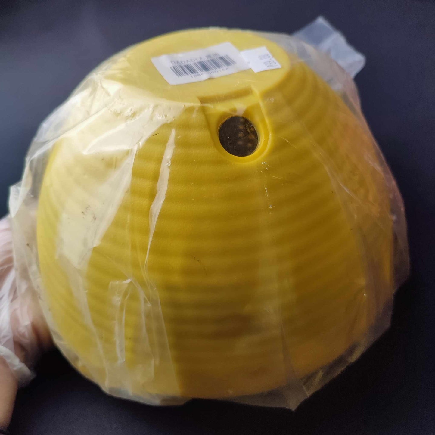 Hanging Plastic Pot