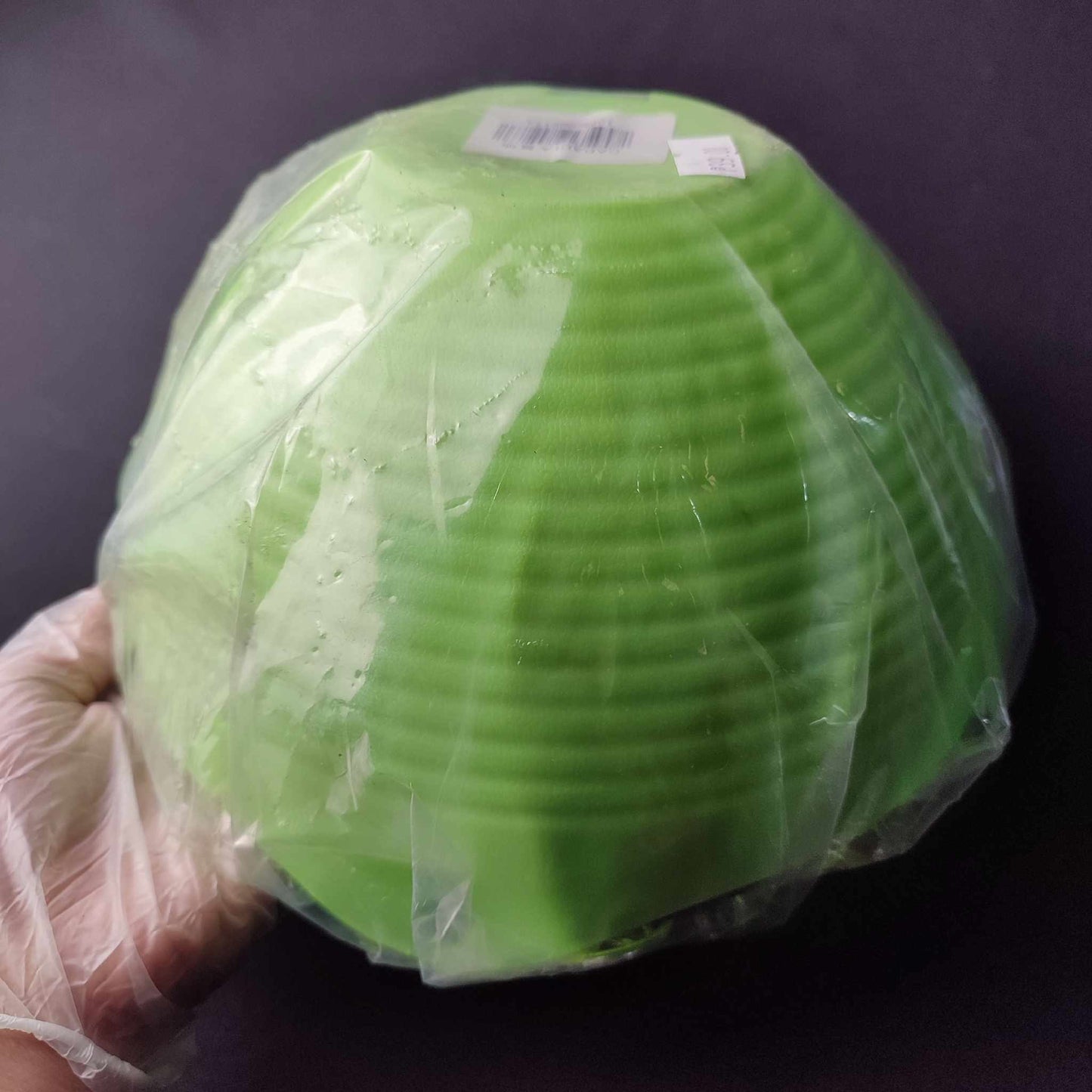 Hanging Plastic Pot