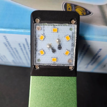 Ledus Table Lamp