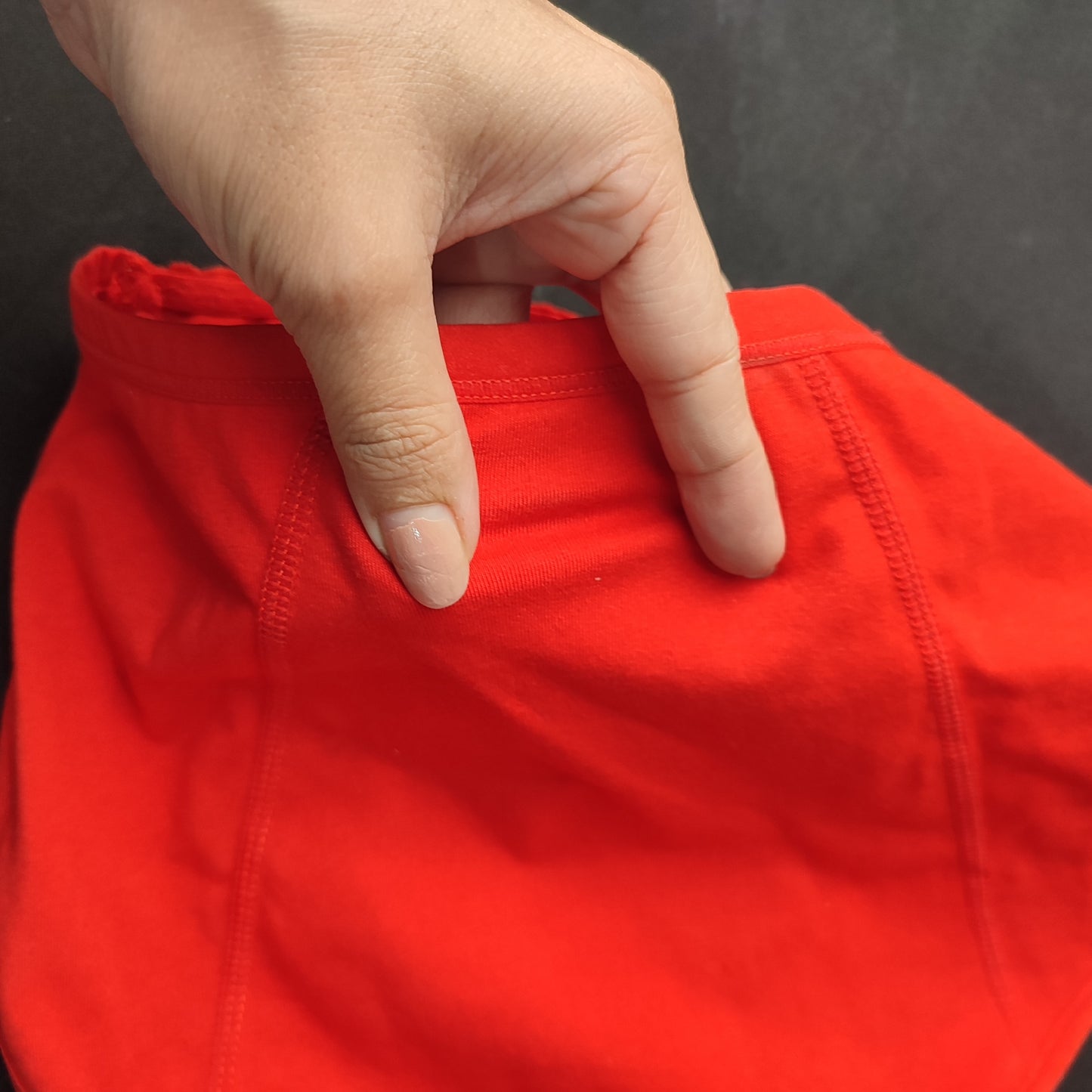 Leak-Proof Period Panties Women Menstrual Underwear (Red) - L