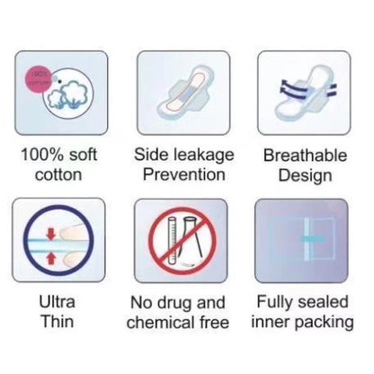 Summer Girl Anti-Inflammatory Sanitary Napkins Nocturnal Use 290mm (8pcs)