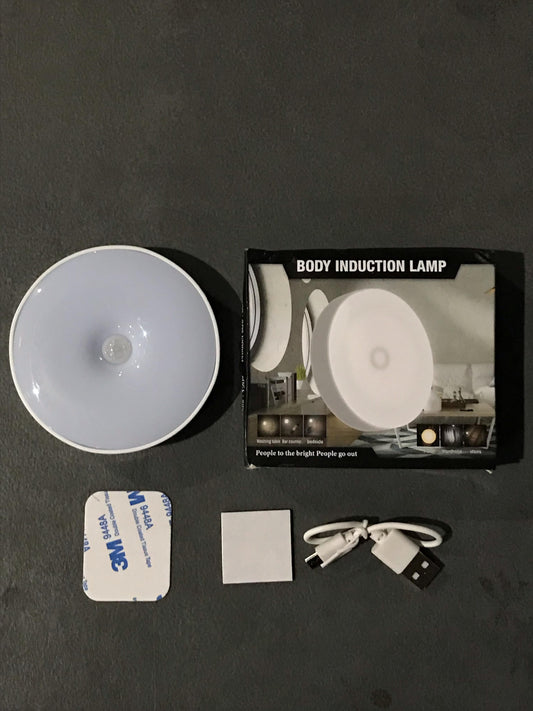 Body Induction Lamp