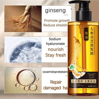 Ginseng Ganoderma Shampoo Follicle Cleansing 300ml