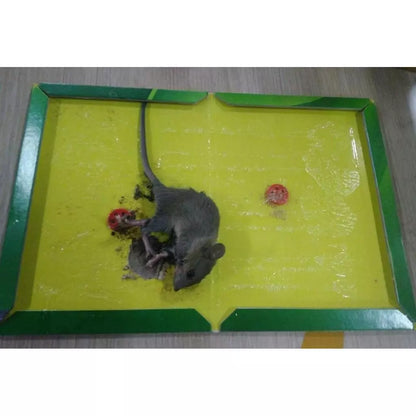 [A1-004] Mouse & Rat Glue Traps Sticker (Large)