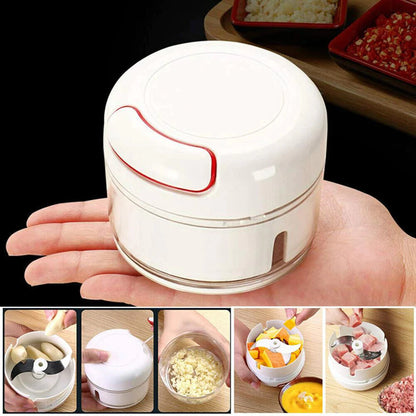 [A1-051] Mini Garlic Press Food Chopper Multifunction Manual Meat Grinder