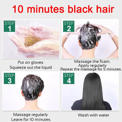 Ten Twenty Natural Herbal Hair Dye Shampoo
