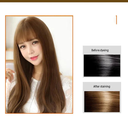 Ten Twenty Natural Herbal Hair Dye Shampoo