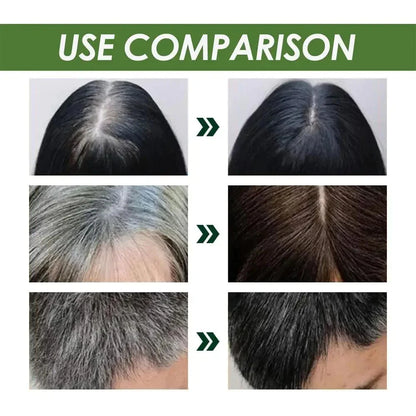 Ten Twenty Natural Herbal Hair Dye Shampoo