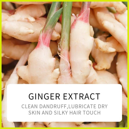 Sadoer Plant Ginger Shampoo Strong Hair Roots Volumizing Hair 500ml