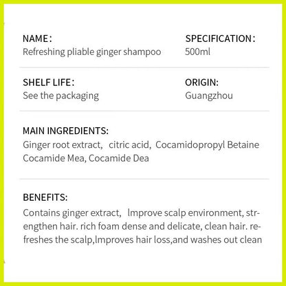 Sadoer Plant Ginger Shampoo Strong Hair Roots Volumizing Hair 500ml